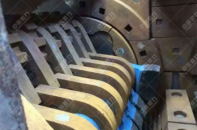 ���N�^����C